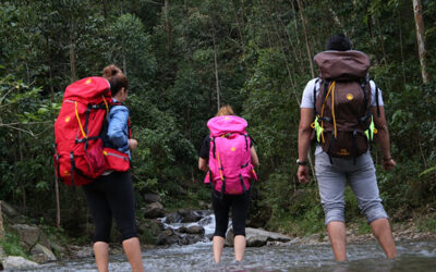 Cuida al Máximo tu Mochila